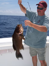 Deep water bald head island grouper